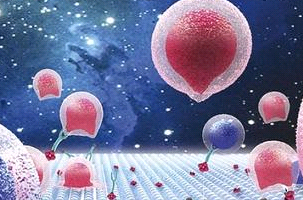 ​ADC抗体偶联定制合成丨西安齐岳生物专业靶向药物研发