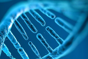 LNP全能递送载体：西安齐岳生物核酸、药物与蛋白定制化服务