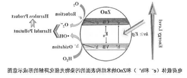 光响应光催化剂