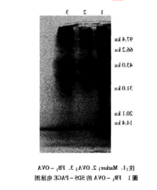 1595319846273114.png image.png