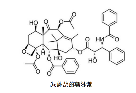 荧光素(FITC)化学修饰紫杉醇