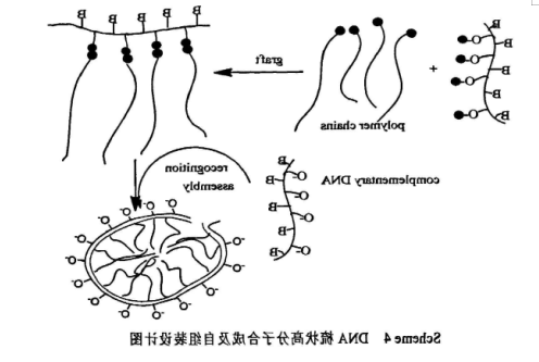 1597110595295378.png image.png
