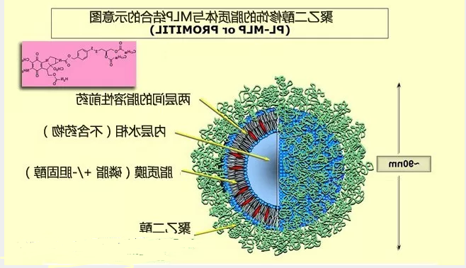 QQ截图20200927101652.png