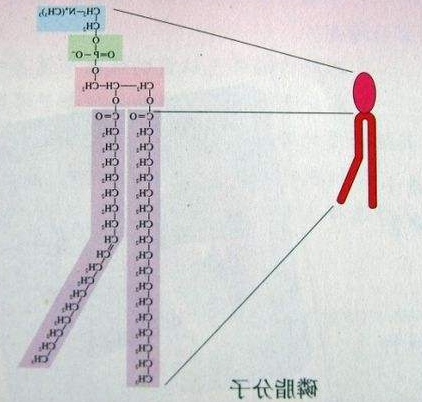 QQ截图20201030095228.png