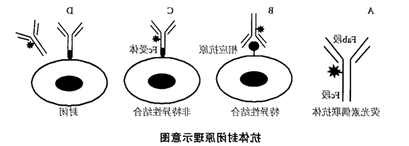 1604542897107179.png image.png