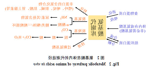1606962627815691.png image.png