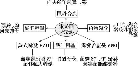1607913408660321.png image.png