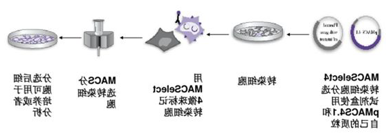 1611797955476372.png image.png