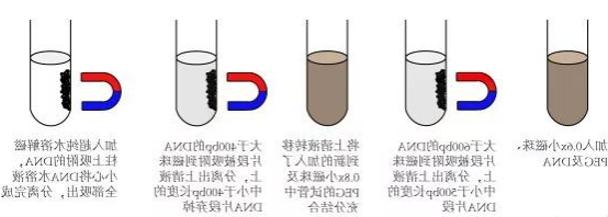 1612148489132603.png image.png