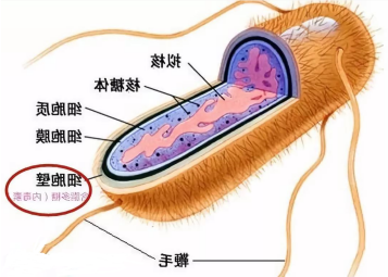 1612149815158553.png image.png