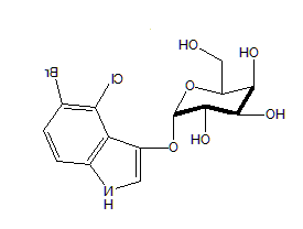 1612331232713378.png image.png