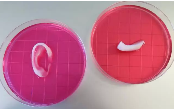1612411508832561.png image.png