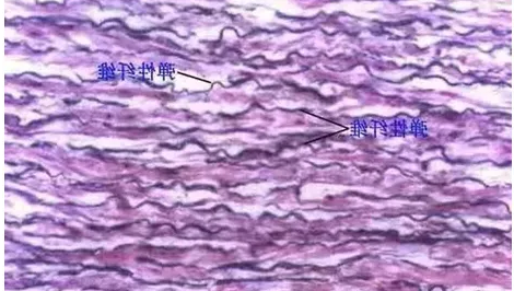 1614047452495019.png QQ截图20210223103035.png