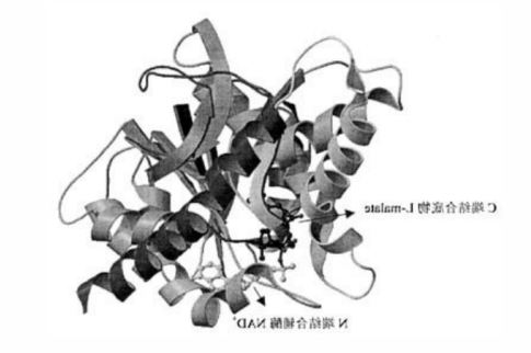 1614130474349005.png image.png