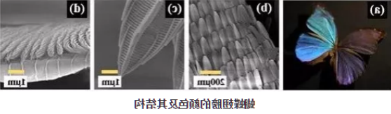 1617154253542351.png image.png
