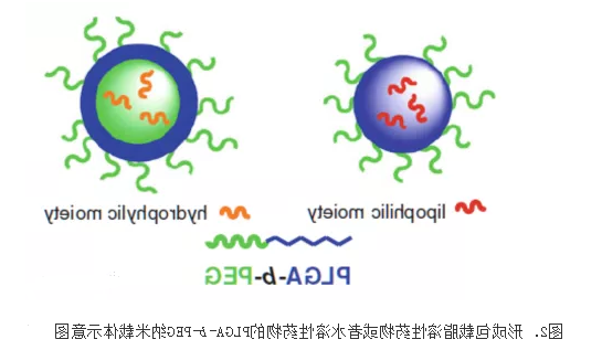 包载脂溶性**或水溶性**的PLGA-b-PEG纳米载体