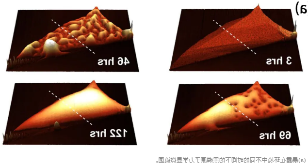 1619086489814149.png image.png