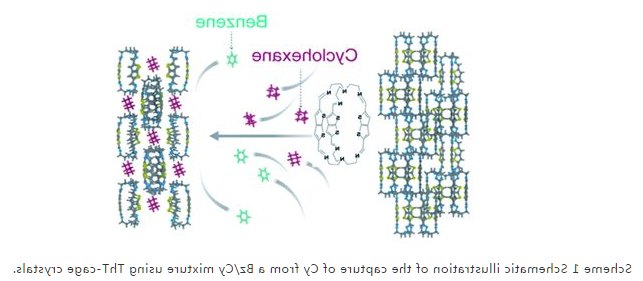 1621305652449219.png image.png