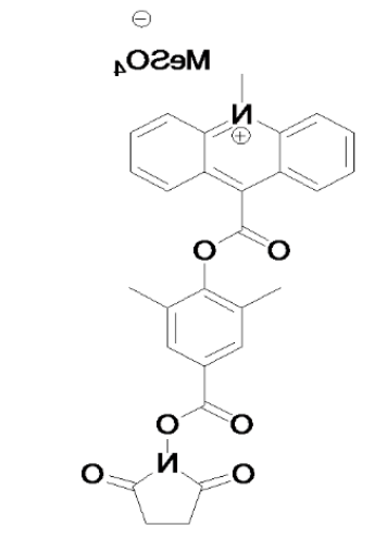 1621568388483741.png image.png