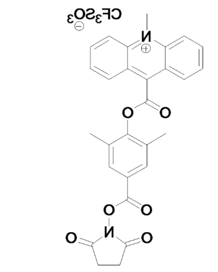 1621568571162746.png image.png