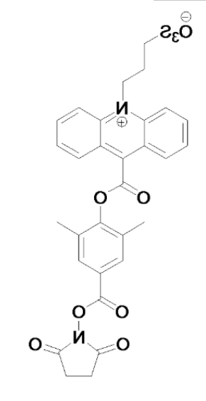 1621568584893533.png image.png