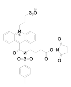 1621568621523902.png image.png