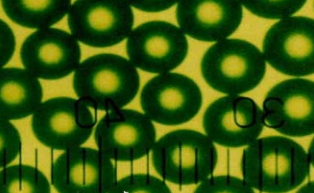 1624441824702866.png image.png