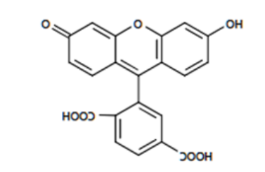 1630574765415078.png image.png
