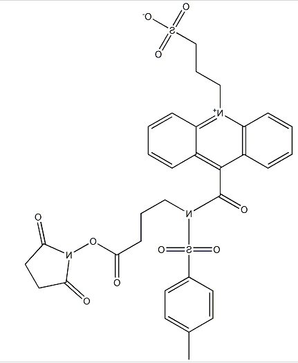 1638236835304432.png image.png