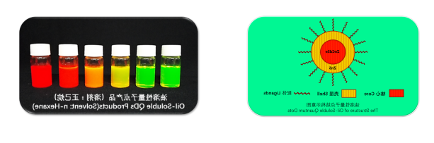 1638433066793059.png image.png