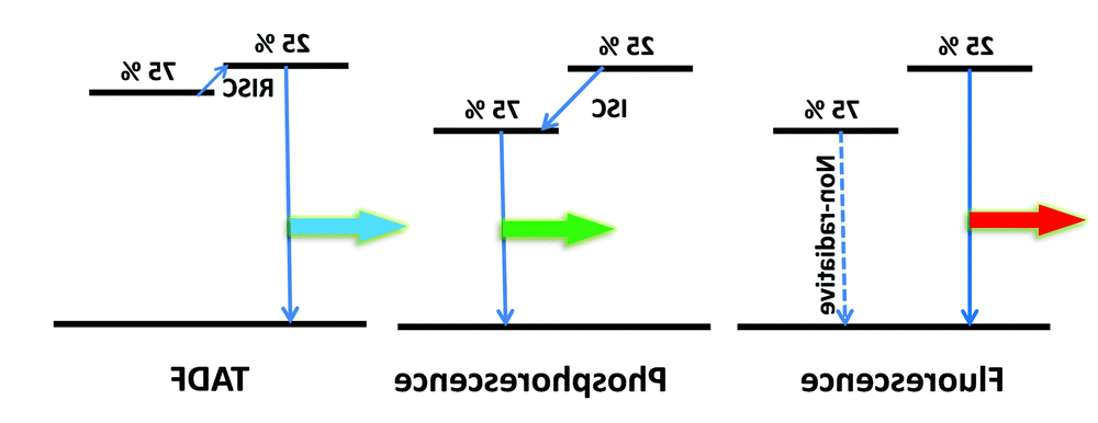 1641971730532824.png image.png