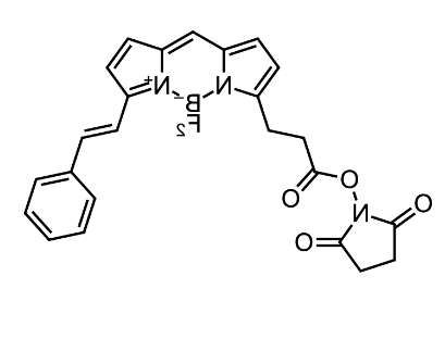 BDP 564/570 NHS ester，cas150173-90-3.png