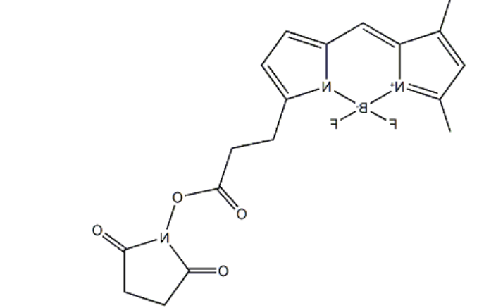 BDP FL NHS ester,cas146616-66-2.png BDP FL NHS ester,cas146616-66-2.png