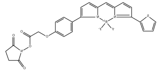 BDP TR NHS ester.png