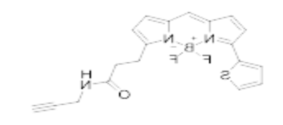 BDP 558/568 alkyne.png