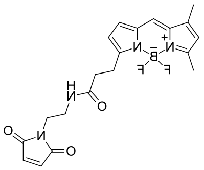BDP FL maleimide ，cas773859-49-7 .png