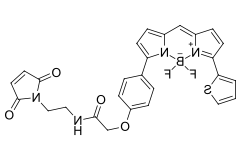 BDP TR maleimide.png