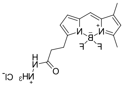 BDP FL hydrazide,cas2183473-45-0.png