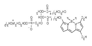 β-BODIPY FL C12-HPC.png