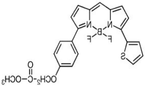 CellTrace BODIPY TR Methyl Ester (Lipophilic Counterstain For GFP).png