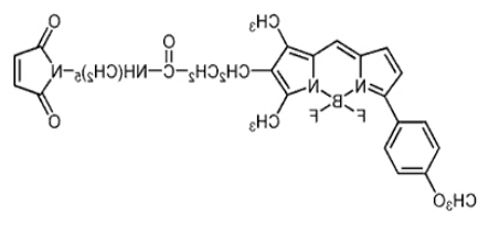 BODIPY TMR C5-马来酰亚胺.png