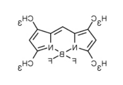 BODIPY 505/515.png