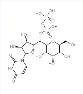 尿苷二磷酸葡萄糖.png 尿苷二磷酸葡萄糖.png