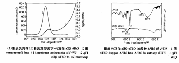 3-巯基丙酸修饰碲化镉量子点(MPA-CdTeQDs).png