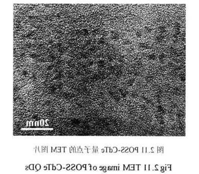 POSS-CdTe QDs.png POSS-CdTe QDs.png