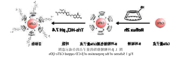 环糊精修饰碲化镉CdTe量子点.png