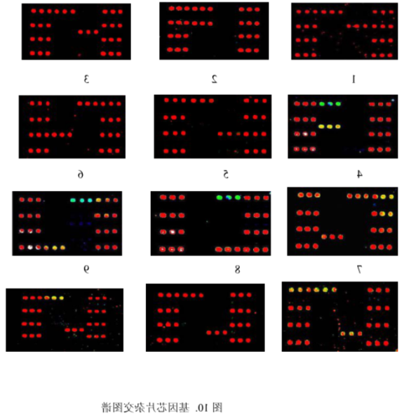 //haochengcy.cn/product/86758.png