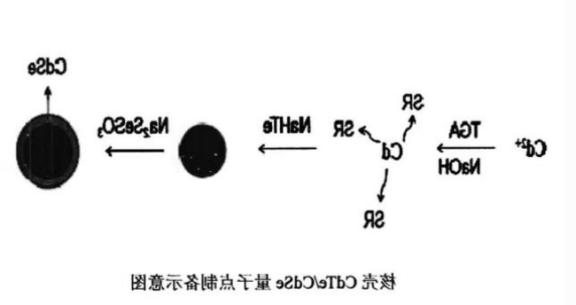 核壳型CdSe/ZnS量子点.png