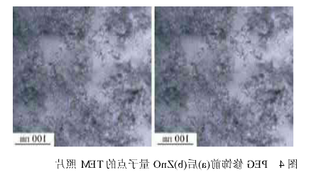 PEG修饰ZnO量子点.png
