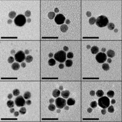 金纳米颗粒通过修饰DNA.png